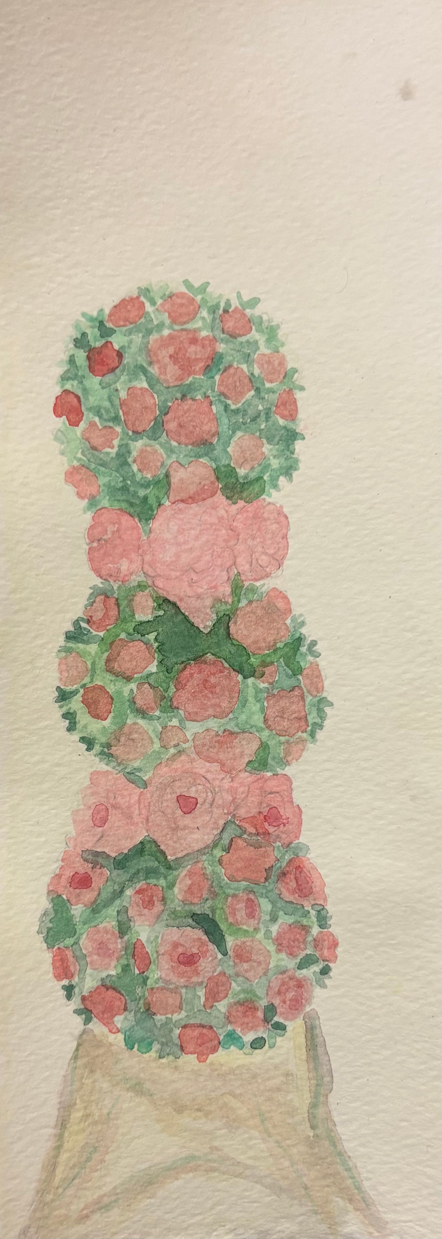 2025 Flower Panoramics