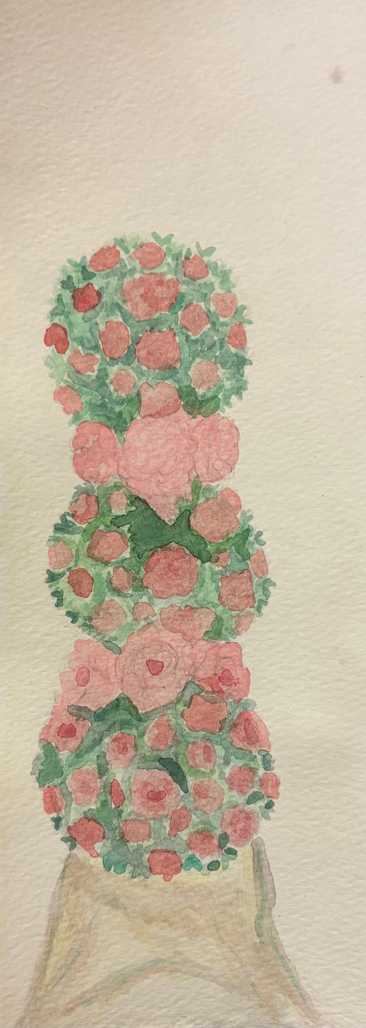 2025 Flower Panoramics