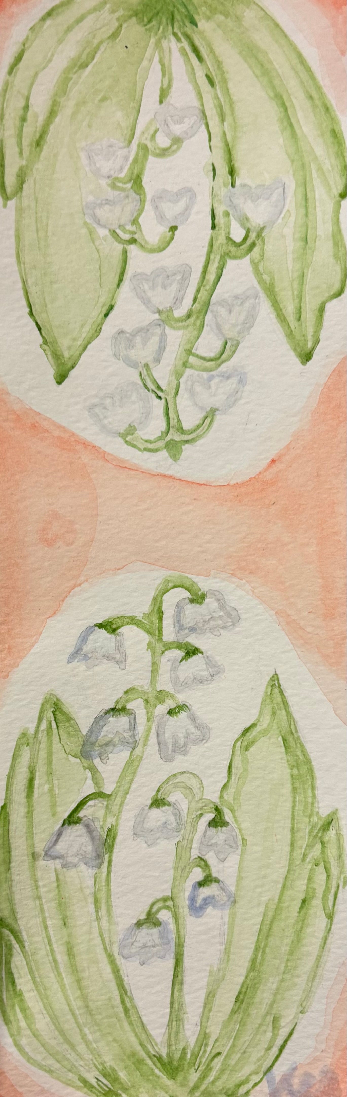 2025 Flower Panoramics