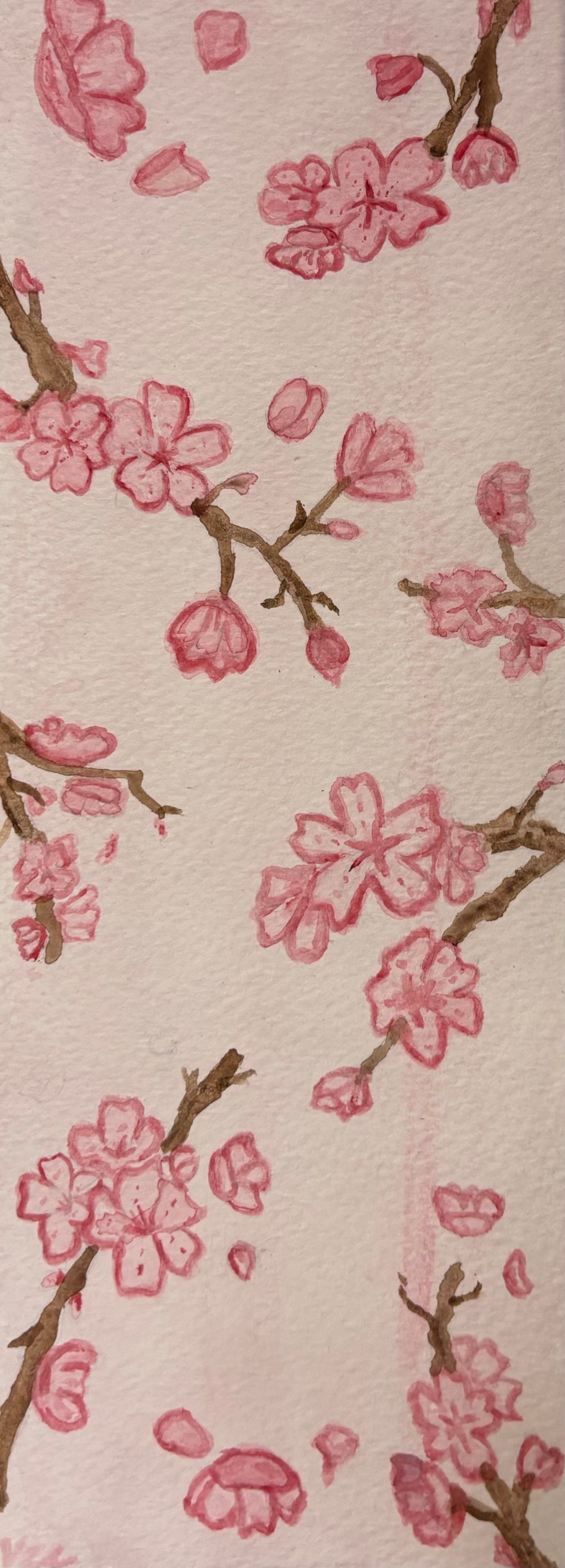 2025 Flower Panoramics